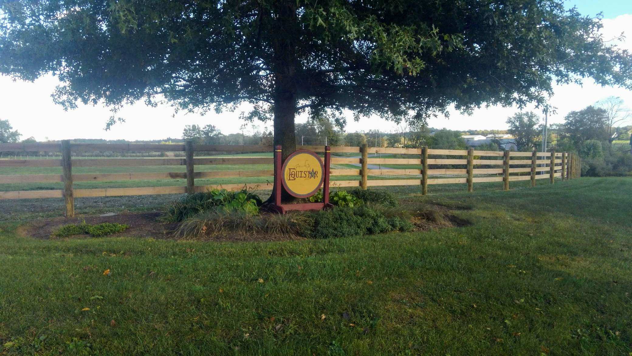 Barnthru_appletreees